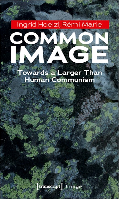 Book cover image for Common Image ISBN: 9783837659399
